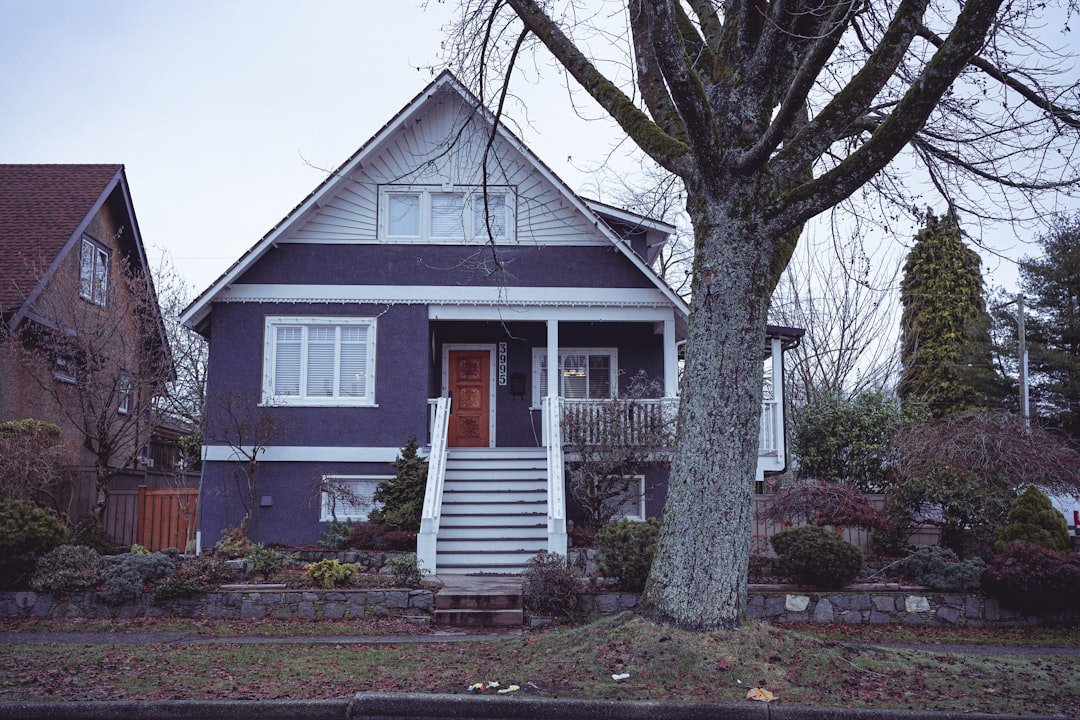 why-choose-us a-house-with-a-tree-in-front-of-it-7hl8dlvftq0